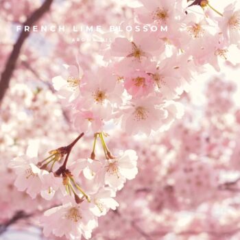 French Lime Blossom 30ml