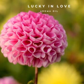 Lucky in Love Aroma Oil 30ml