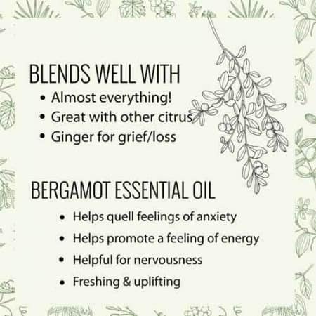 Bergamot Essential Oil