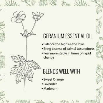 Geranium Essential Oil nz