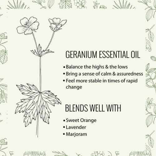 Geranium Essential Oil