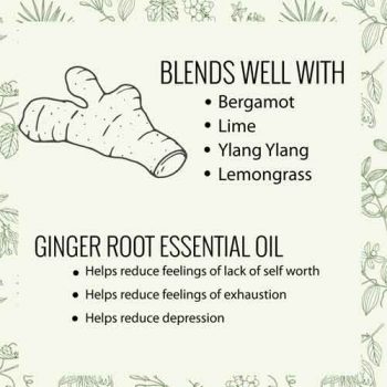 Ginger Essential Oil