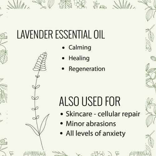 Lavender essential oil properties