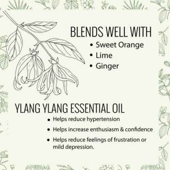 essential oil ylang ylang properties