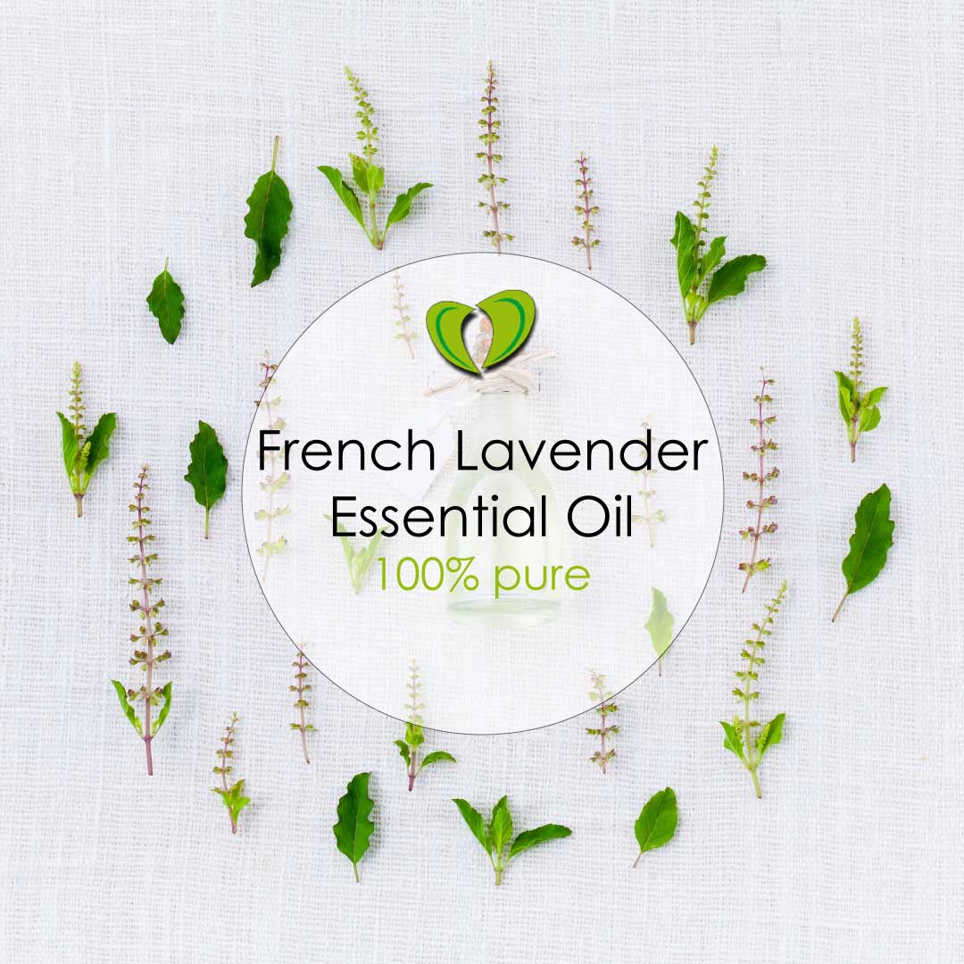 French Lavender Essential Oil 10ml Baliba Aroma Oils