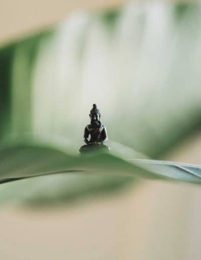 Frankincense Essential Oil