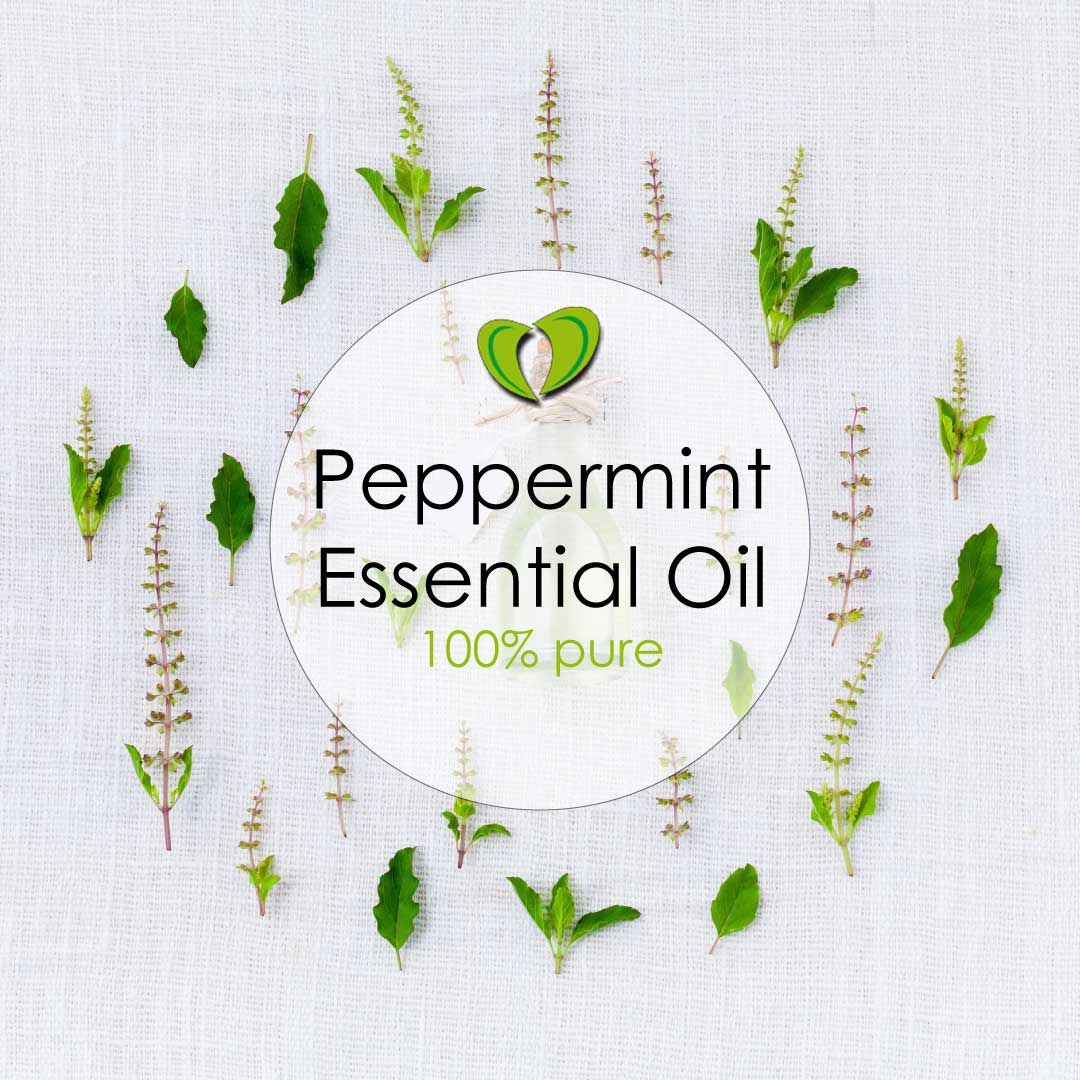 tea tree oil and peppermint oil for bugs tea tree oil and peppermint oil for bugs