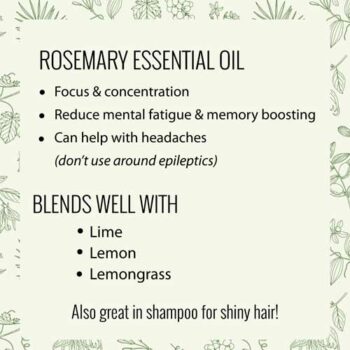 essential oil rosemary