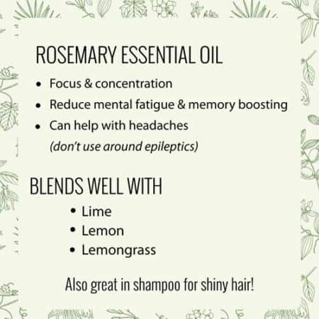 essential oil rosemary