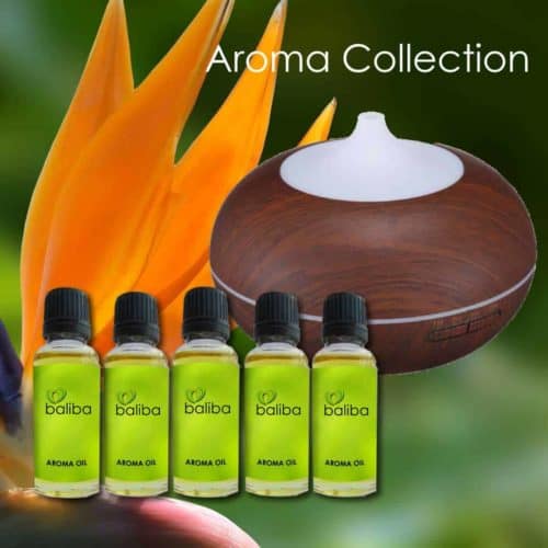 Essential Oil Diffuser plus 5 Aroma Oils