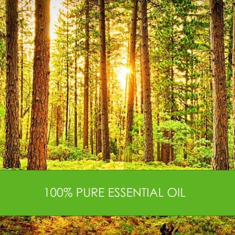 essential oil nz