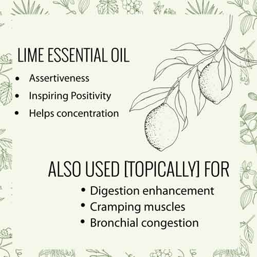 Lime-Essential-Oil-properties