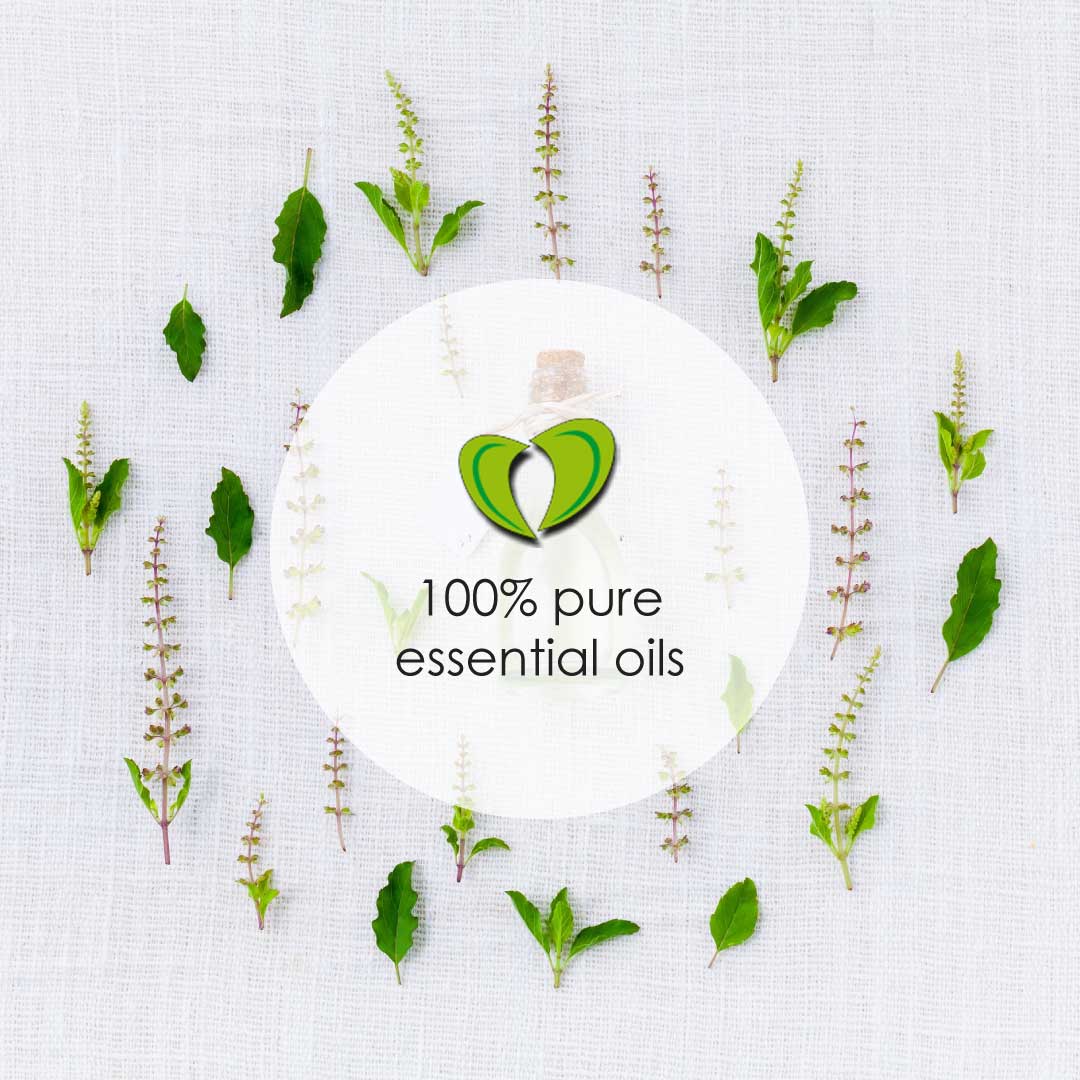Deep Rest Set essential oils deep rest set