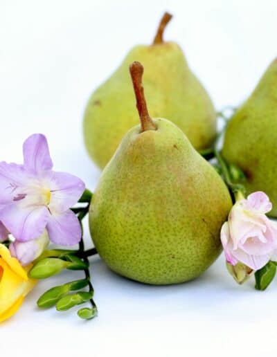diffuser oil english pear and freesia