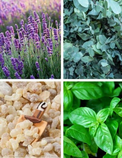 essential oils for easy breathing