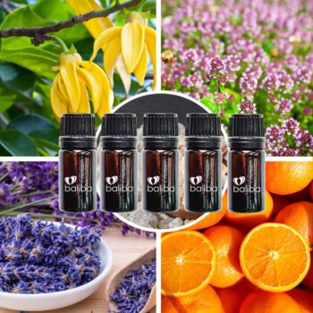 Essential Oil Blend Set of 5