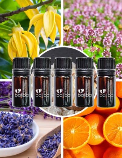 Essential Oil Blend Set of 5