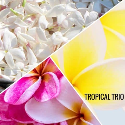 Aroma oil tropical trio