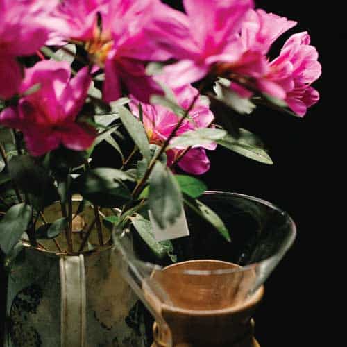 French-Vanilla-Aroma-Oil French Vanilla aroma oil