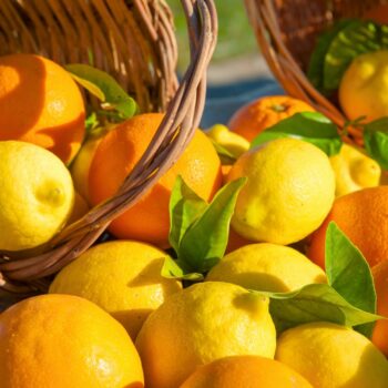 oranges & lemons aroma oil