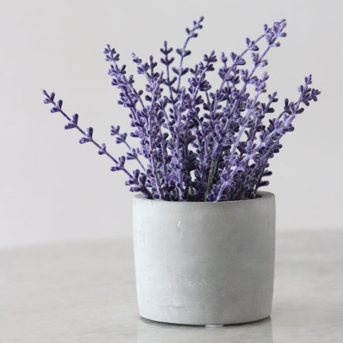 diffuser oil lavender