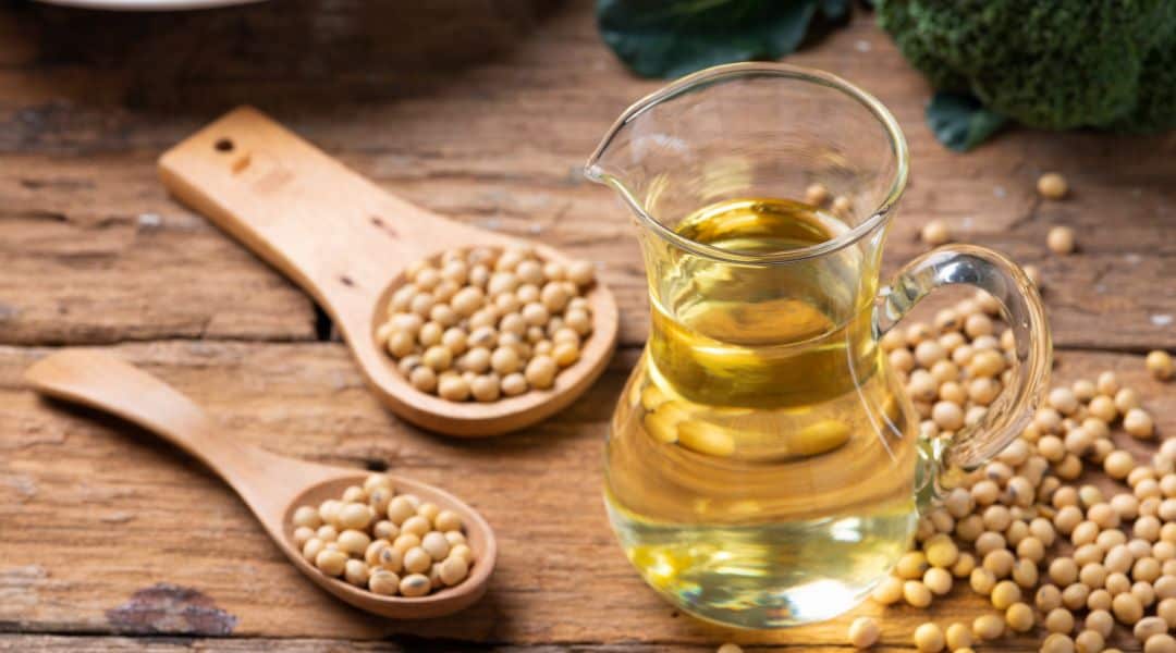 Firming serum for mature skin soy bean oil