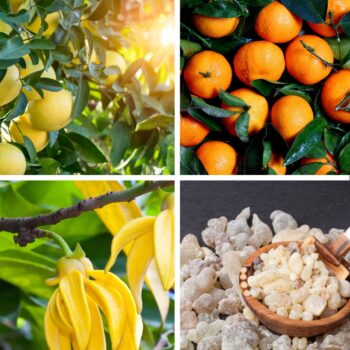 Relaxing Rituals Blend 10ml