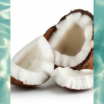 Coconut (Water Soluble) Aroma Oil 30ml