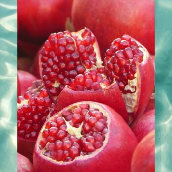 Pomegranate & Apple (Water Soluble) 30ml