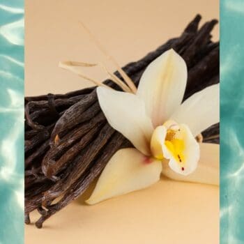 Vanilla (Water Soluble) 30ml