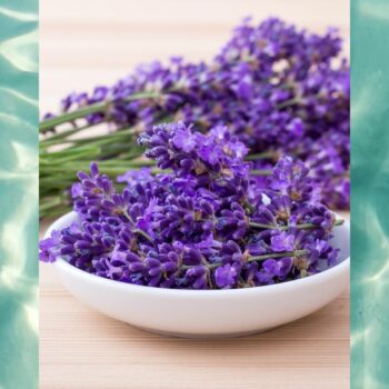Lavender (Water Soluble) Aroma Oil 30ml