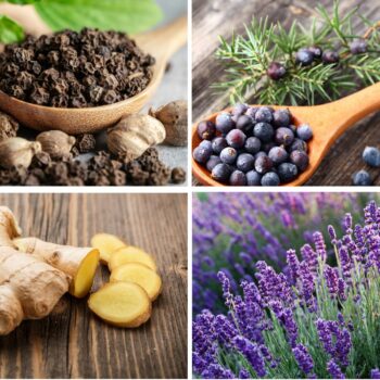 Muscle & Joint Ease Essential Oil Blend 10ml