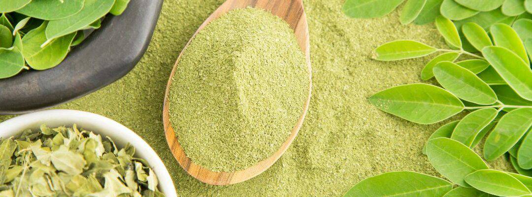 Moringa – Your New Defence Against Aging