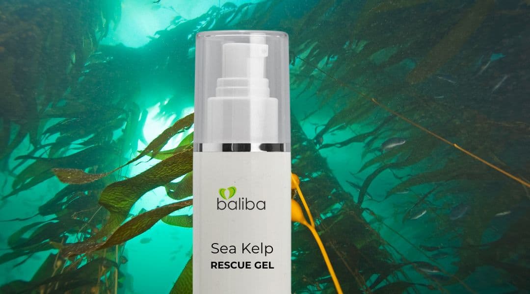 Sea Kelp Rescue Gel 50ml