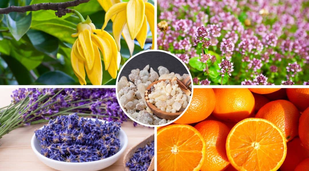 Baliba Deep Rest Essential Oil Blend (1080 x 600 px)