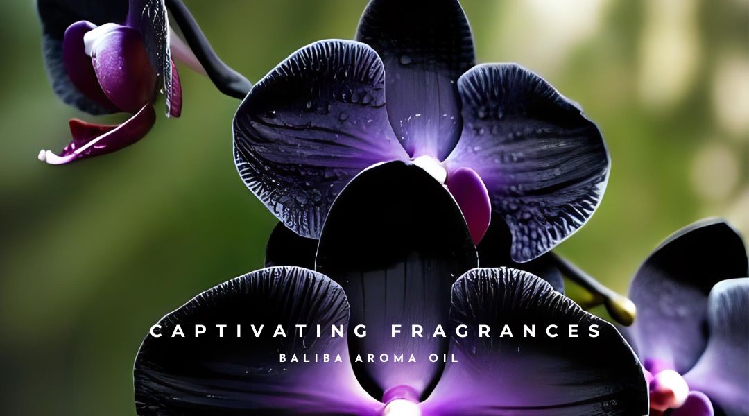 Black Orchid & Ylang Ylang Aroma Oil (1080 x 600 px) (1)