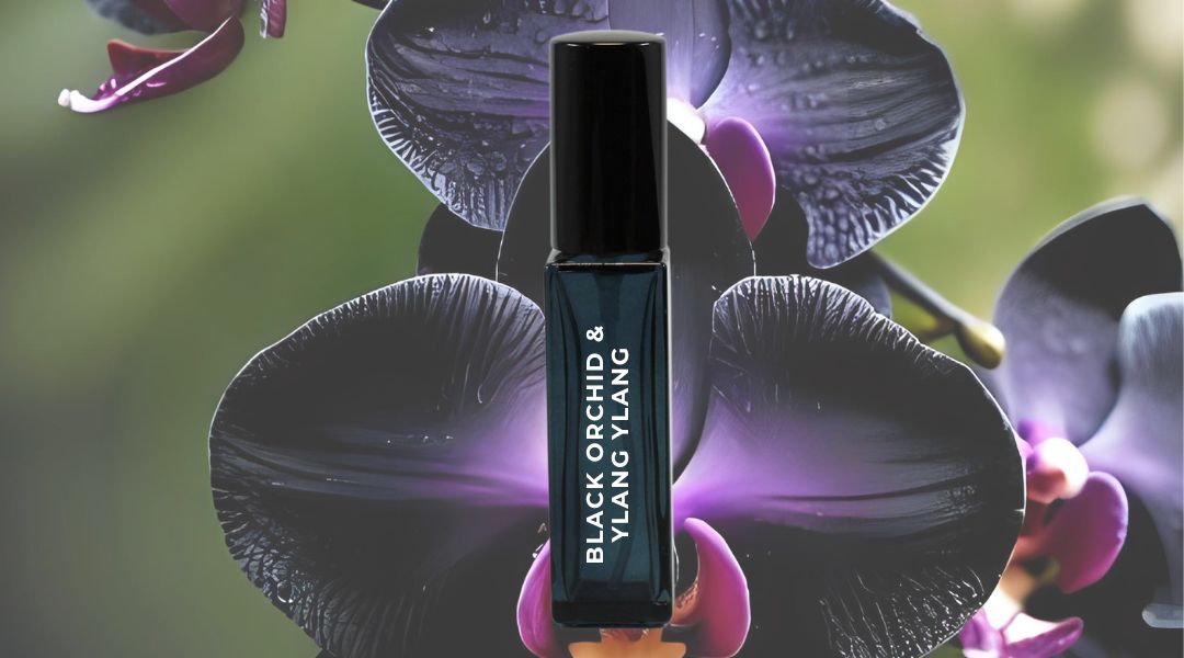 black orchid & ylang ylang (1080 x 600 px) (1)