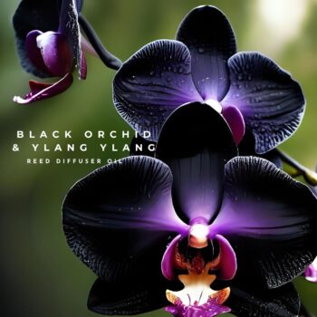 Black Orchid Reed Diffuser Oil