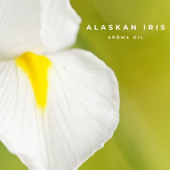 Alaskan Iris Aroma Oil 30ml