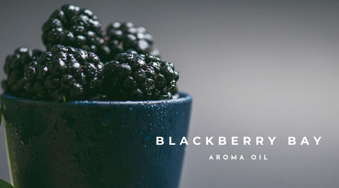 Blackberry Bay Aroma Oil 600