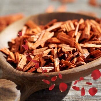 Sandalwood & Rose Aroma Oil 30ml