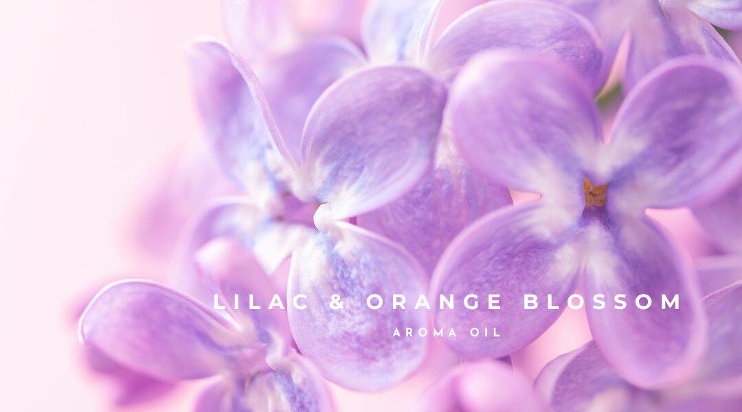 lilac & orange blossom 600 Lilac & Orange Blossom Diffuser Oil