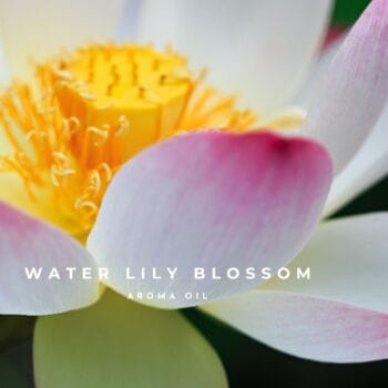 Water Lily Blossom Aroma Oil 30ml